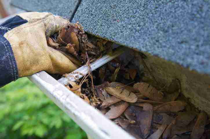 Gutter Cleaning & Maintenance